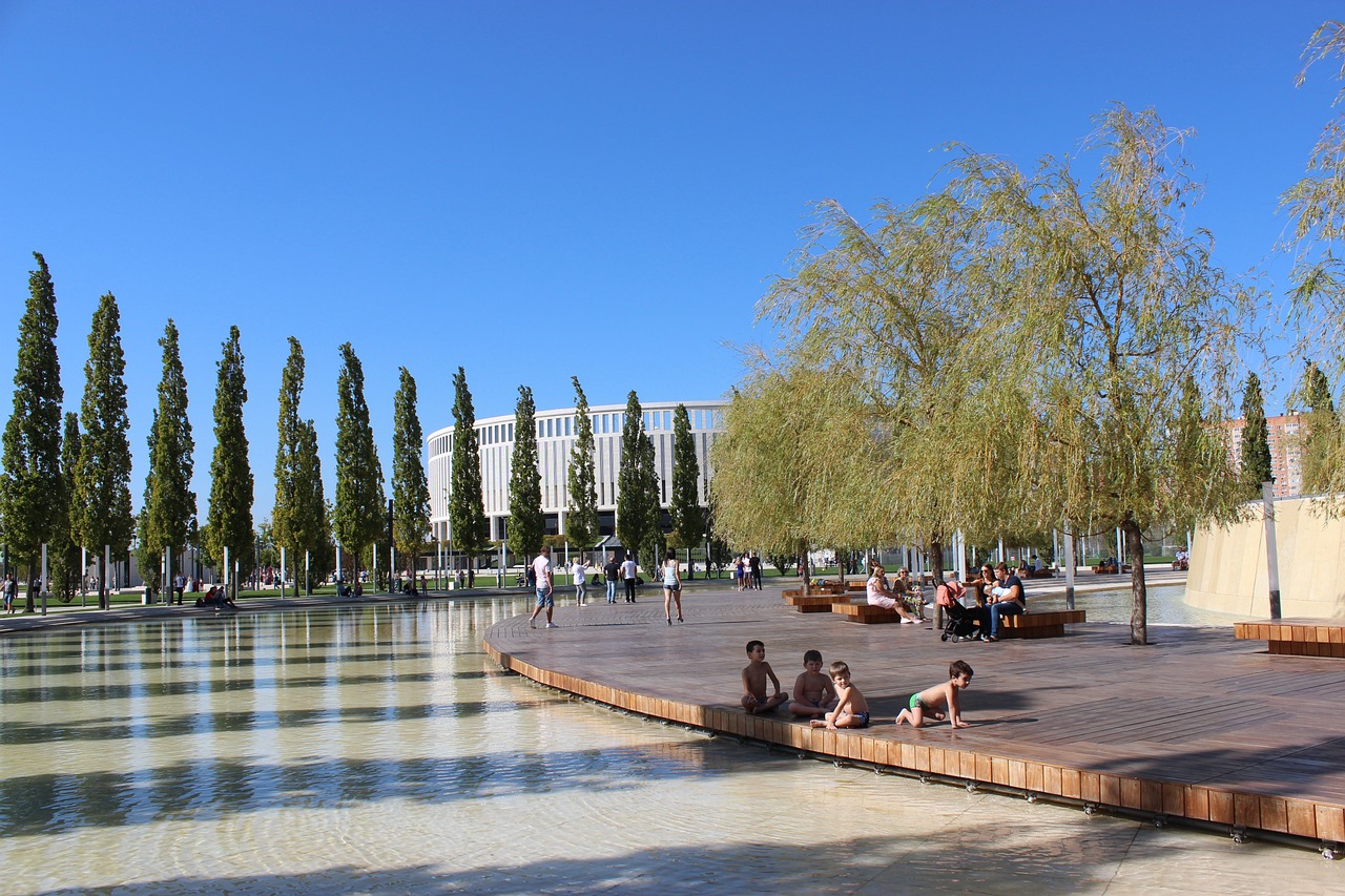 分展示了 分展示了