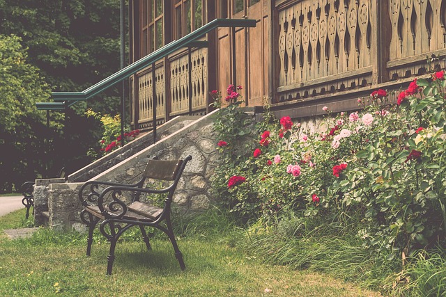 的作战能力 的作战能力