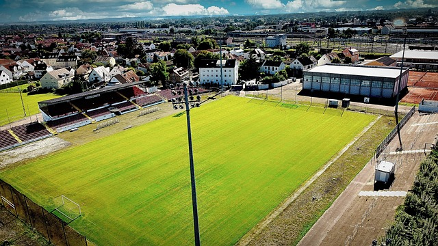 励机制调动 励机制调动