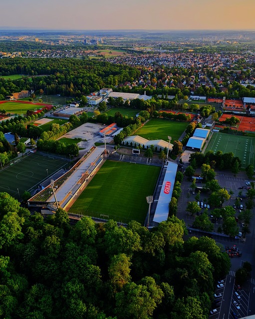 莱的联系 莱的联系