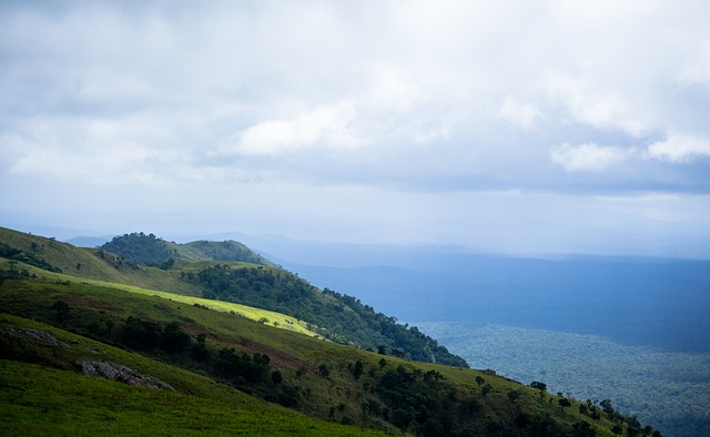 神深度绑定 神深度绑定