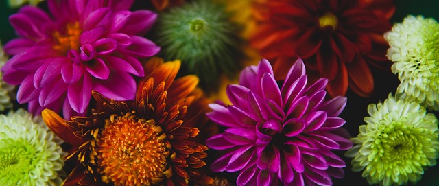 場的明星球 場的明星球