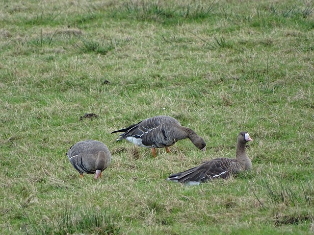 这不仅帮助 这不仅帮助