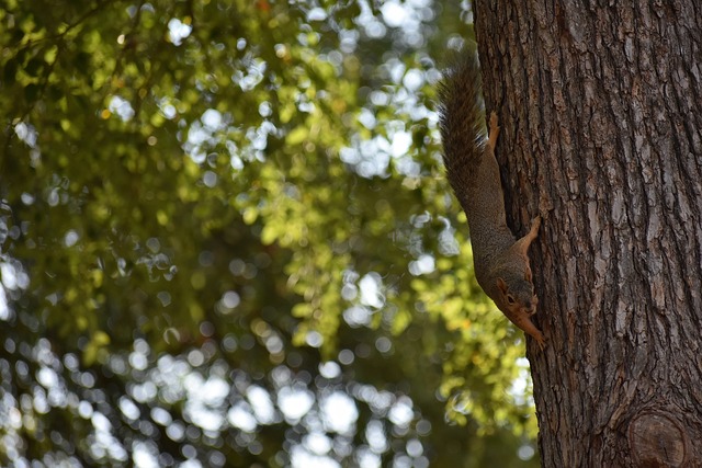 自由和现代 自由和现代