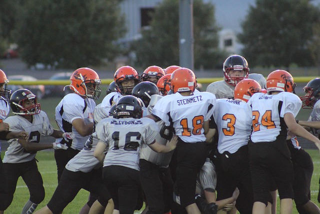 的判断力而 的判断力而