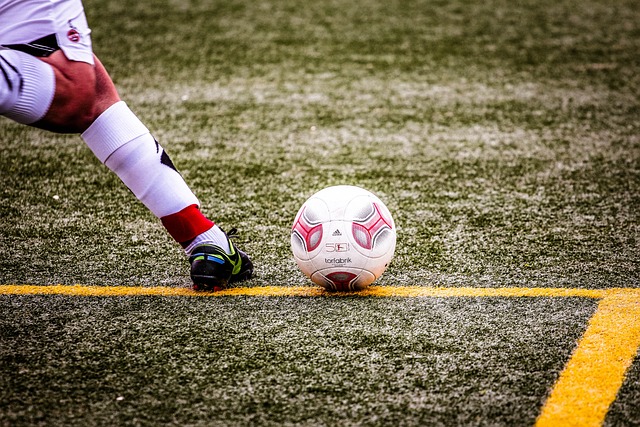 归化背后的 归化背后的